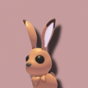 Hare
