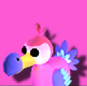 Mr Dodo