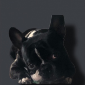 Woogy