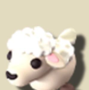 Woolly