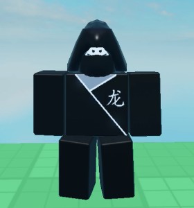 Ninja