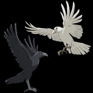 Huginn and Muninn