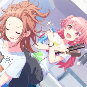 Minoairi