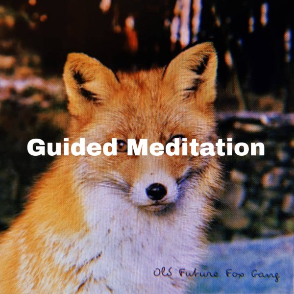 Guided Meditation