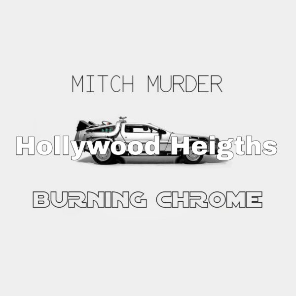 Hollywood Heights