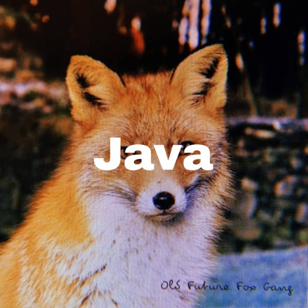 Java