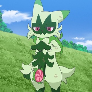Floragato