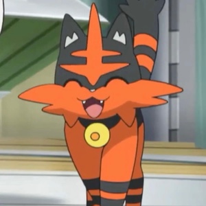 Torracat