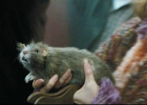 scabbers