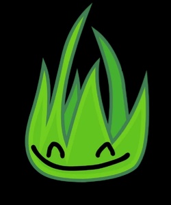 Grassy