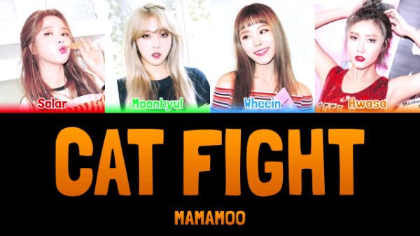 Cat fight