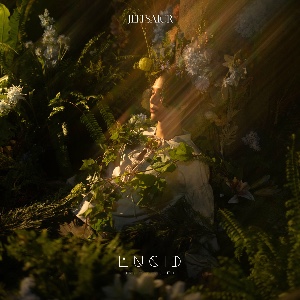 ก่อนที่เธอจะลืม (Lucid)