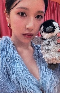penguin mina