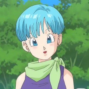 Bulma Briefs - Dragon Ball