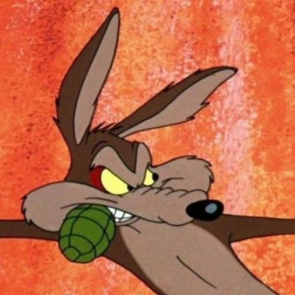 Wile E Coyote