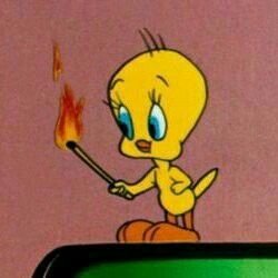 Tweety Bird
