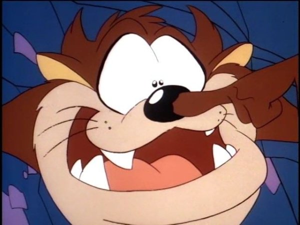 Tasmanian Devil