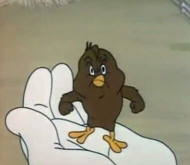 Henery Hawk