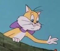 Mrs Cat