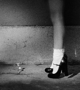 warning signs (interlude)