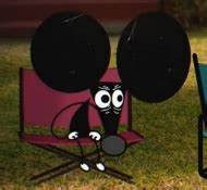 louie