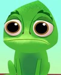 pascal