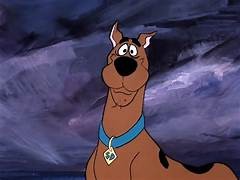 scooby doo