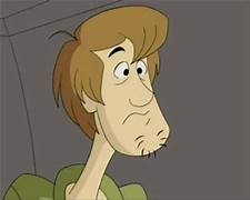shaggy