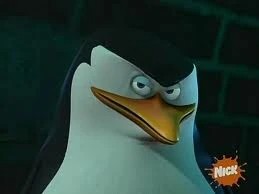 Skipper