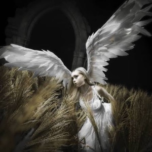 Godspeed with frills