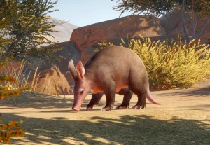 aardvark