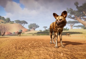African wild dog