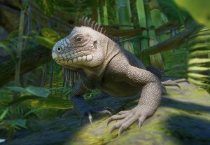 antillean iguana