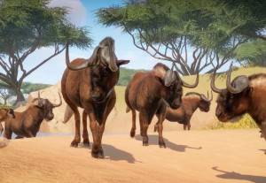 black wildebeest