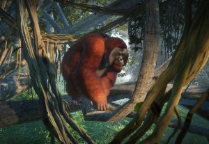 bornean orangutan