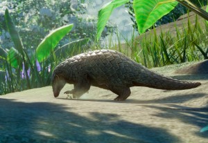 chinese pangolin