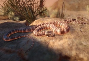 common death adder