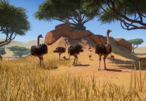 common ostrich