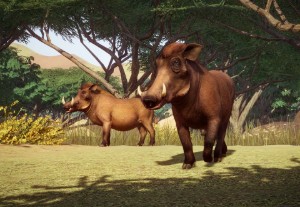 common warthog