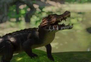cuvier's dwarf caiman