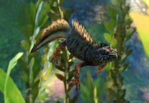 danube crested newt