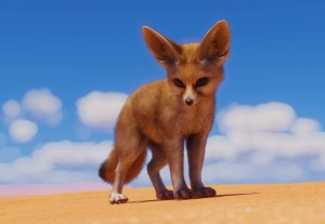 fennec fox