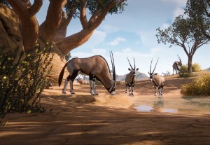 gemsbok