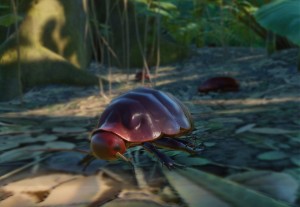 giant burrowing cockroach