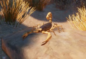 giant desert hairy scorpion