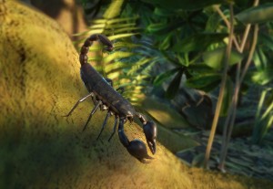 giant forest scorpion