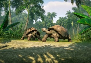 giant galapagos tortoise