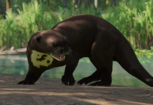 giant otter