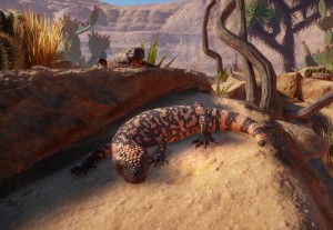 gila monster