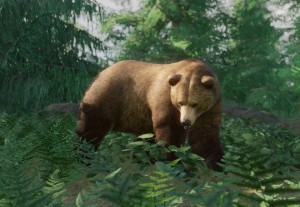 grizzly bear